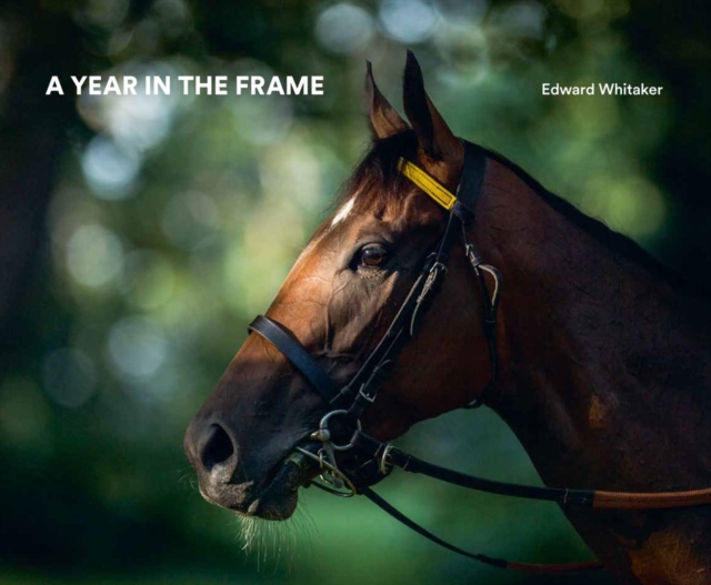 A Year In The Frame, Hardback Book