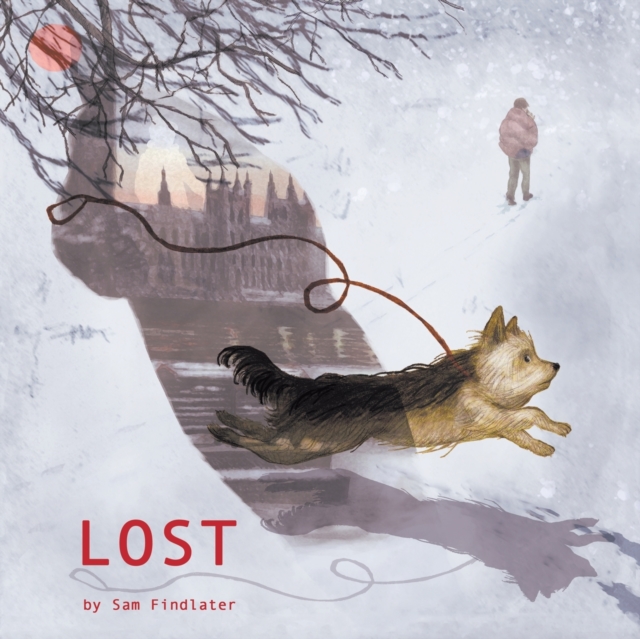 Lost,  Book