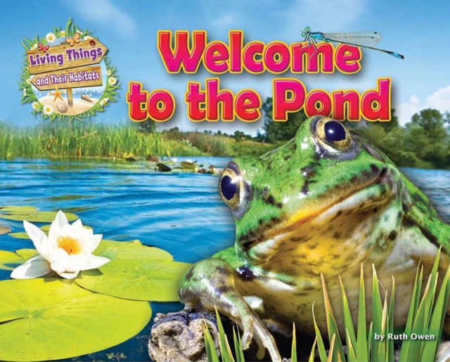 Welcome to the Pond, Paperback / softback Book