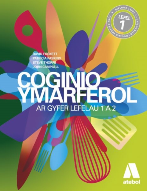 Coginio Ymarferol, Paperback / softback Book
