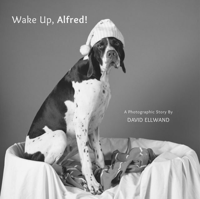 Wake Up, Alfred! : A Photographic Story, Board book Book