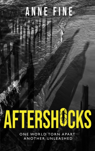 Aftershocks, Hardback Book