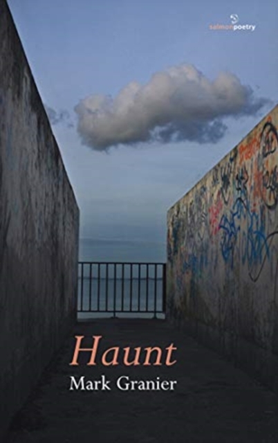 Haunt, Paperback / softback Book