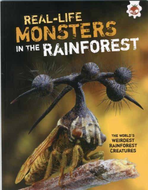 Weirdest Rainforest Creatures, Paperback / softback Book