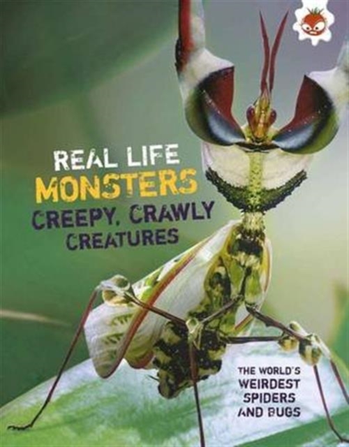 Weirdest Spiders and Bugs, Paperback / softback Book