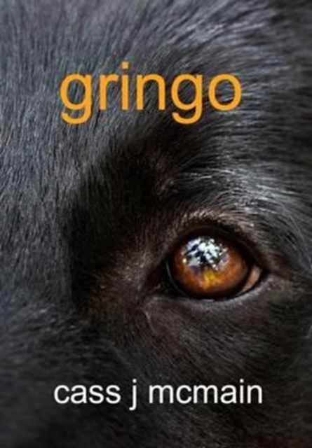 Gringo, Paperback / softback Book