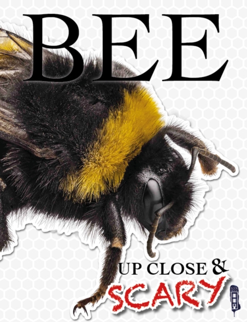 Up Close & Scary Bee, Paperback / softback Book