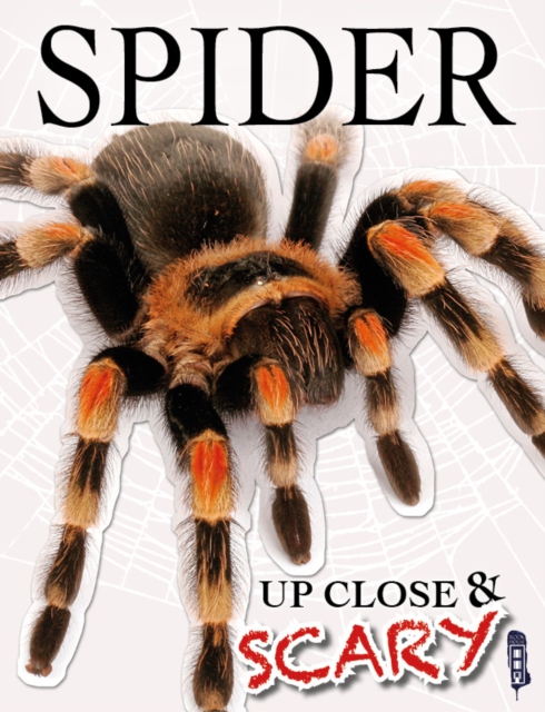Up Close & Scary Spider, Paperback / softback Book
