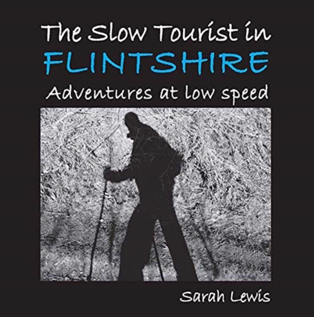 The Slow Tourist in Flintshir : Adventures at low speed, Paperback / softback Book
