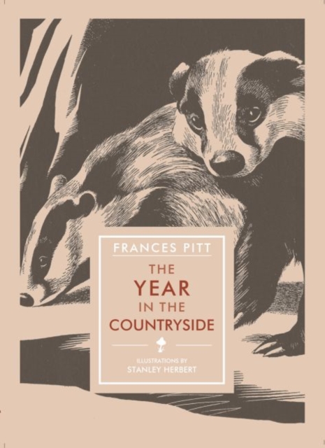 The Year in the Countryside, Paperback / softback Book