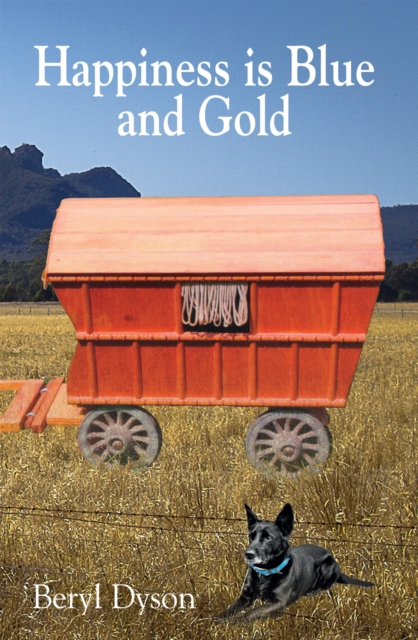 Happiness is Blue and Gold, PDF eBook