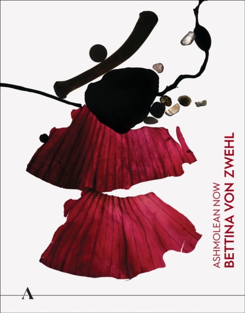 Ashmolean NOW: Bettina von Zwehl, Paperback / softback Book