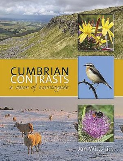 Cumbrian Contrasts : A Vision of Countryside, Paperback / softback Book