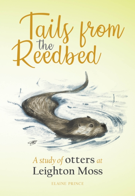 Tails from the Reedbed : A study of otters at Leighton Moss, Paperback / softback Book