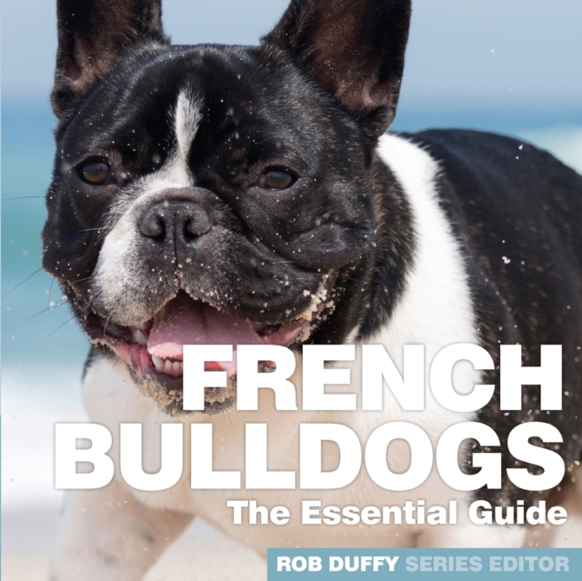 French Bulldogs : The Essential Guide, Paperback / softback Book