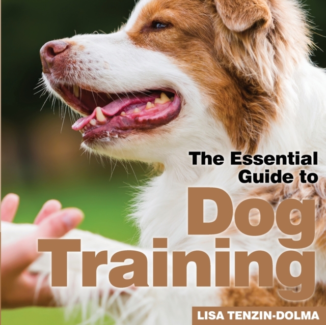 Dog Training, Paperback / softback Book