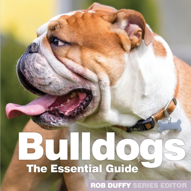 Bulldogs : The Essential Guide, Paperback / softback Book