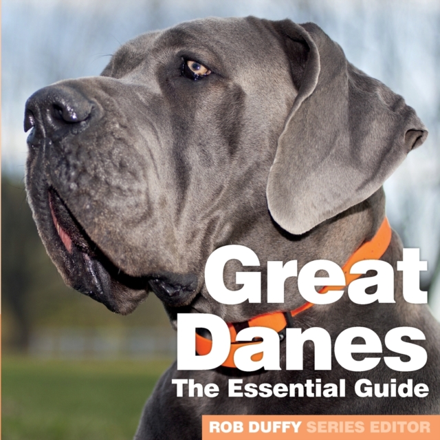 Great Danes : The Essential Guide, Paperback / softback Book