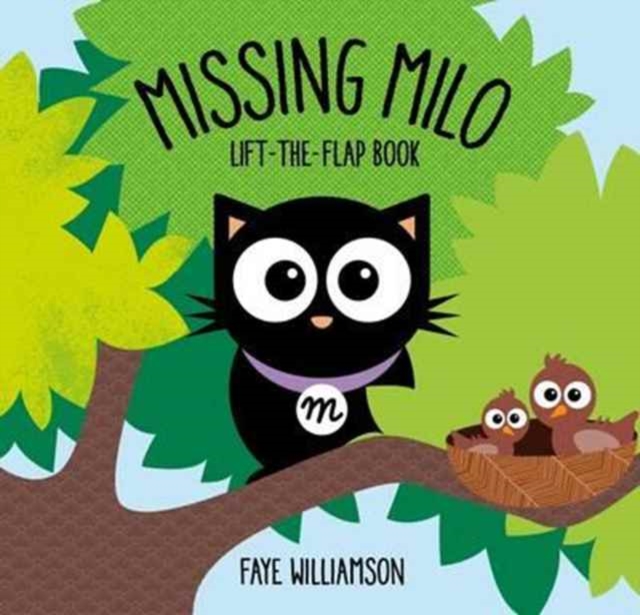 Missing Milo, Paperback / softback Book