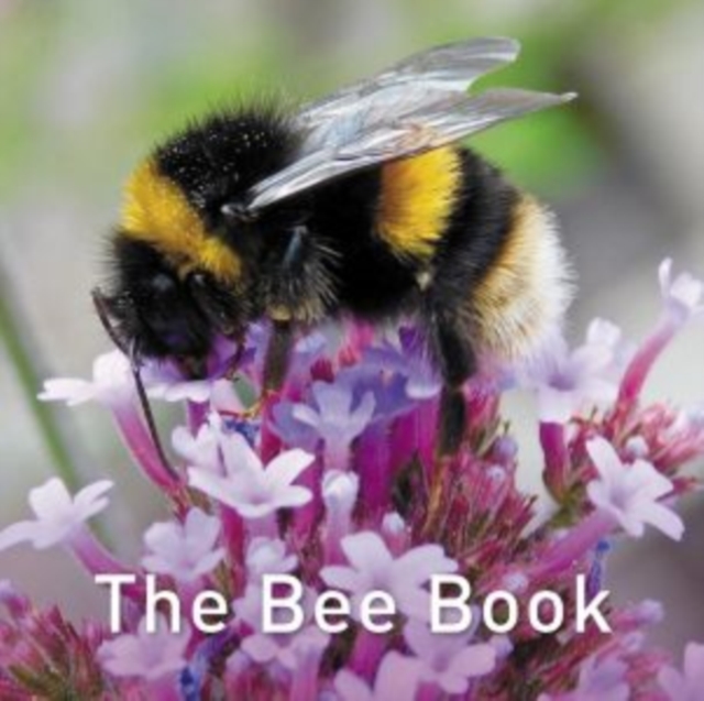 Nature Book Series, The: The Bee Book, Hardback Book