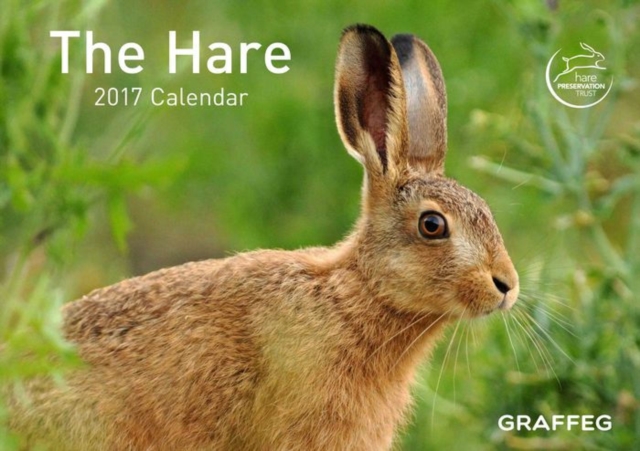 The Hare 2017 Calendar, Calendar Book