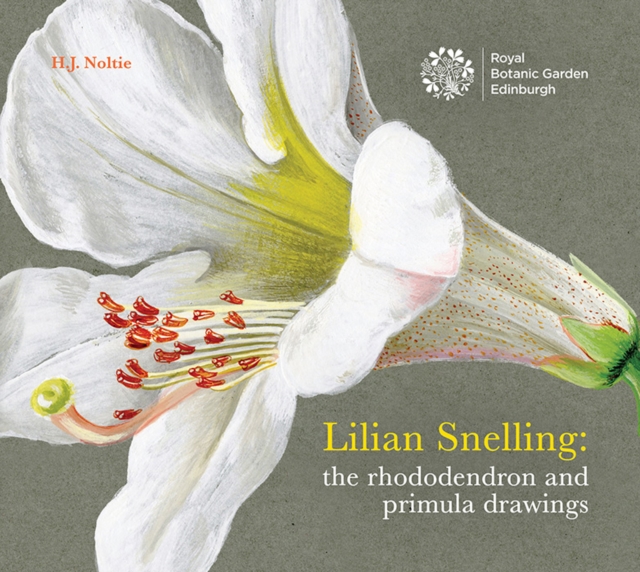 Lillian Snelling : The Rhododendron and Primula Drawings, Paperback Book