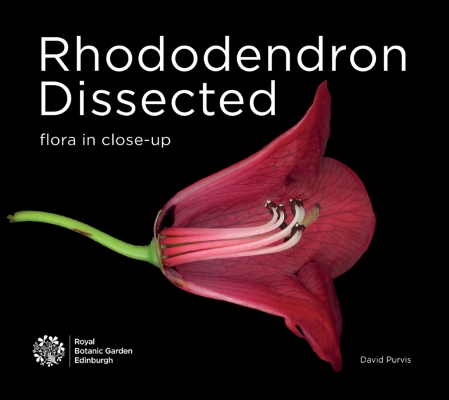 Rhododendron Dissected : Flora in Close-up, Paperback / softback Book