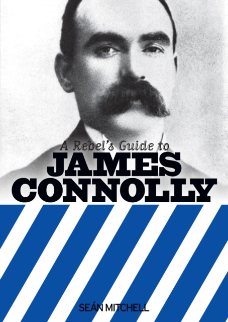A Rebel's Guide To James Connolly, EPUB eBook