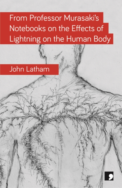 From Professor Murasaki's Notebooks on the Effects of Lightning on the Human Body, Paperback / softback Book