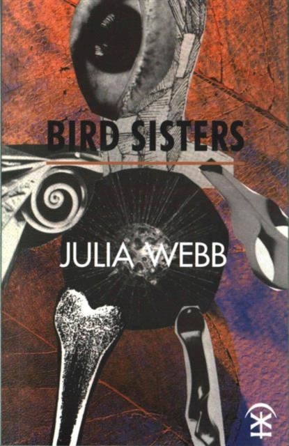 Bird Sisters, Paperback / softback Book