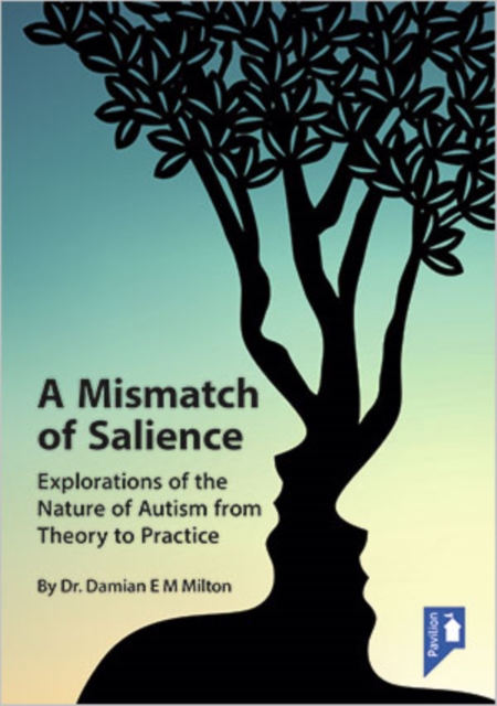 A Mismatch of Salience : Explorations from the Nature of Autism from Theory to Practice, Book Book