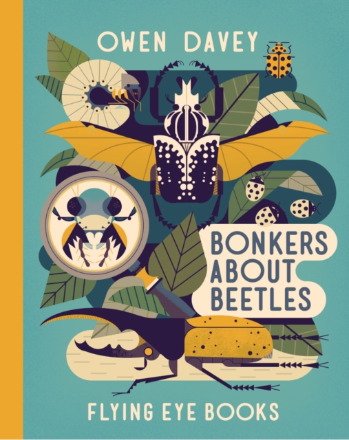 Bonkers about Beetles, Hardback Book