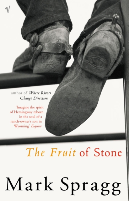 The Fruit of Stone, Paperback / softback Book