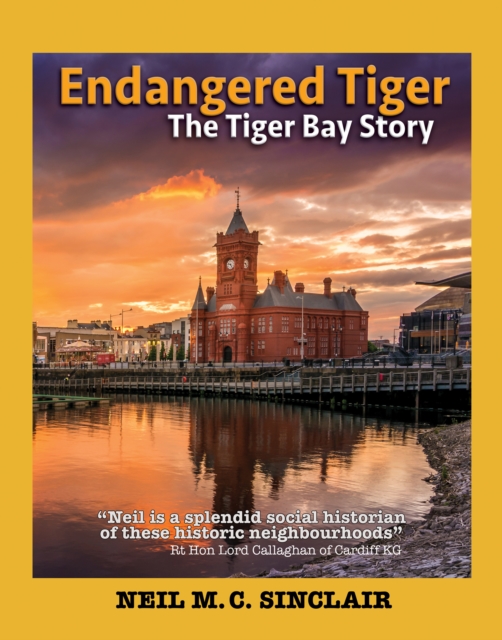 Endangered Tiger : The Tiger Bay Story, Paperback / softback Book