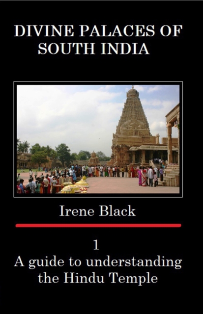 Divine Palaces of South India : A guide to understanding the Hindu Temple A guide to understanding the Hindu Temple 1, Paperback / softback Book