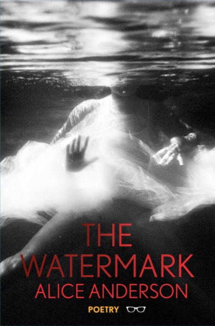 The Watermark, Paperback / softback Book