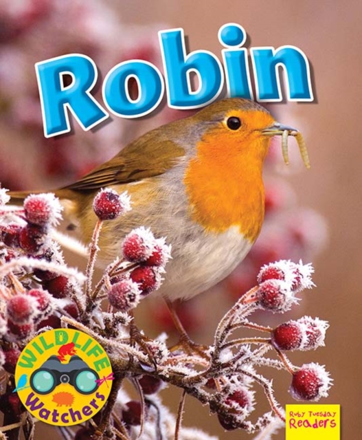 Wildlife Watchers: Robin, Paperback / softback Book