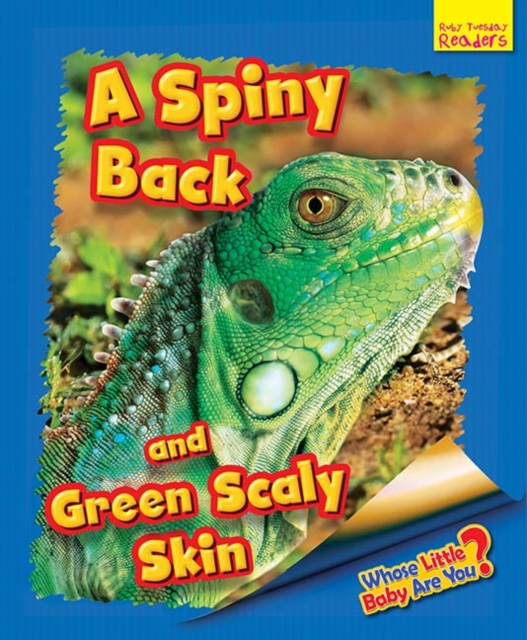 Whose Little Baby Are You? A Spiny Back and Green Scaly Skin, Paperback / softback Book