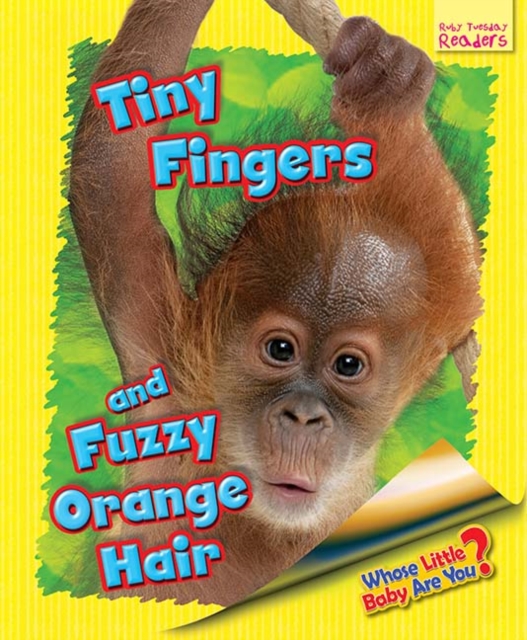 Whose Little Baby Are You? Tiny Fingers and Fuzzy Orange Hair, Paperback / softback Book