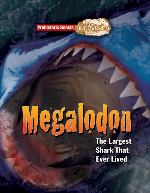 Megalodon : The Largest Shark That Ever Lived, Paperback / softback Book
