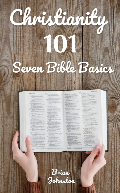 Christianity 101: Seven Bible Basics, EA Book
