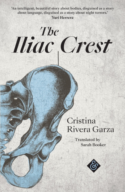 The Iliac Crest, Paperback / softback Book