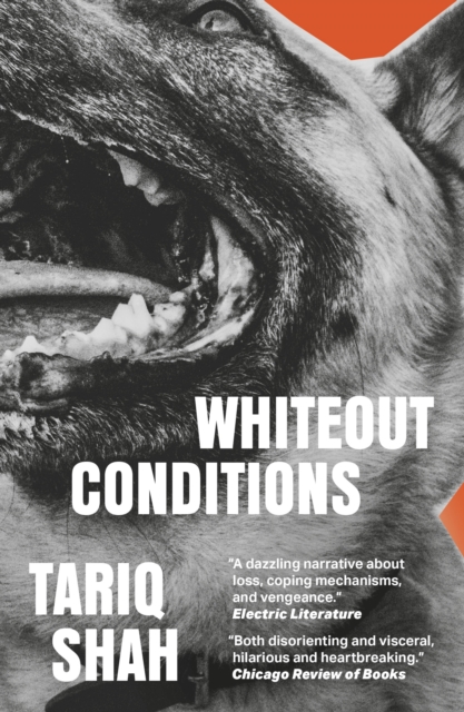 Whiteout Conditions, Paperback / softback Book