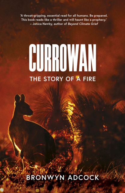 Currowan : The Story of a Fire, Paperback / softback Book