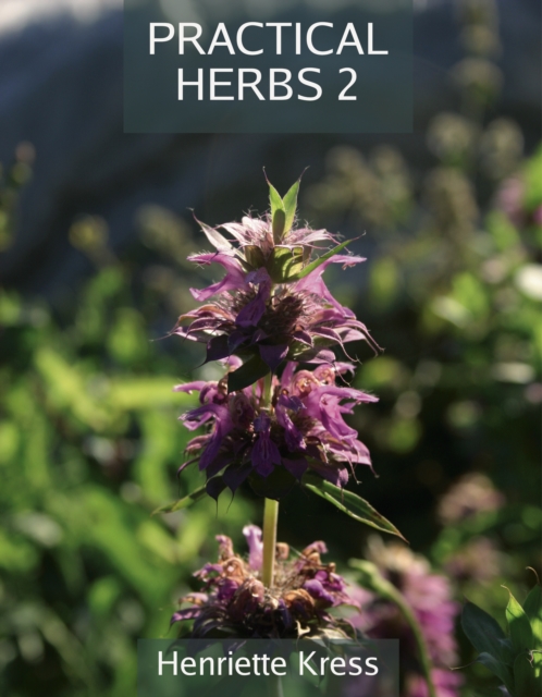 Practical Herbs 2, Paperback / softback Book