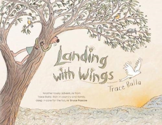 Landing with Wings, Hardback Book