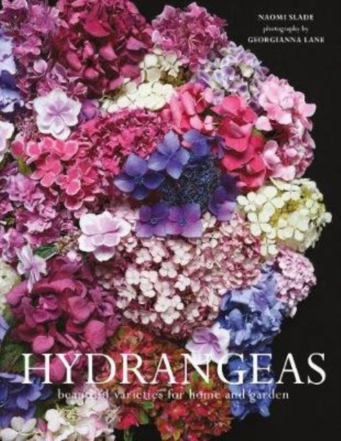 Hydrangeas : Beautiful varieties for home and garden, Hardback Book