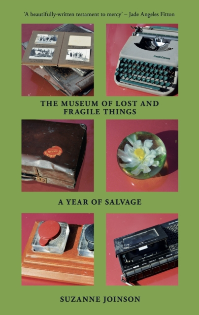 The Museum of Lost and Fragile Things : A Year of Salvage, Paperback / softback Book