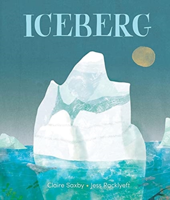 Iceberg, Hardback Book