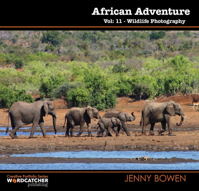 African Adventure : Wildlife Photography, Paperback / softback Book
